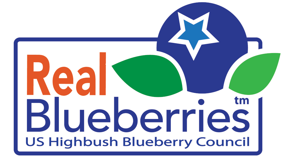 Blueberry Lemon Dip Mix - NEW & IMPROVED - Sample